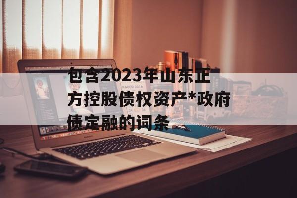 包含2023年山东正方控股债权资产*政府债定融的词条