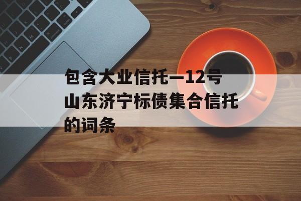 包含大业信托—12号山东济宁标债集合信托的词条