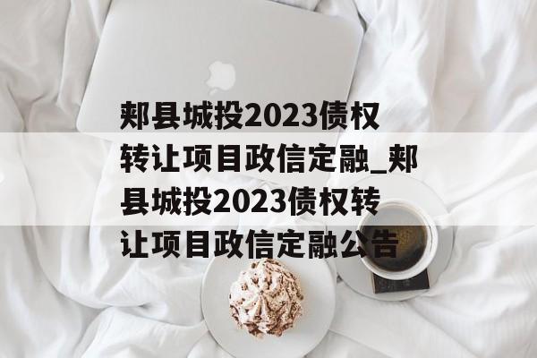 郏县城投2023债权转让项目政信定融_郏县城投2023债权转让项目政信定融公告