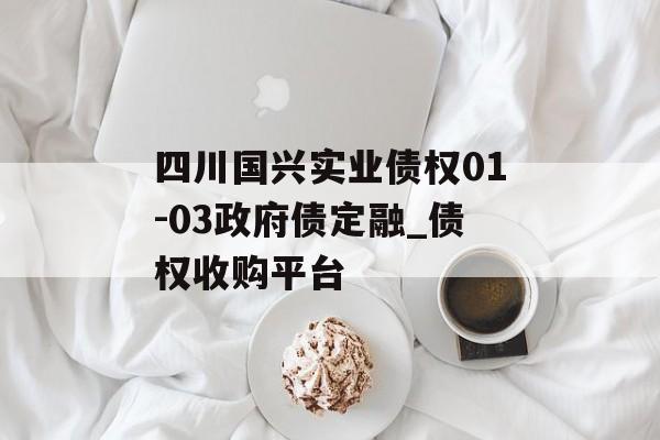 四川国兴实业债权01-03政府债定融_债权收购平台