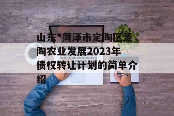 山东*菏泽市定陶区圣陶农业发展2023年债权转让计划的简单介绍