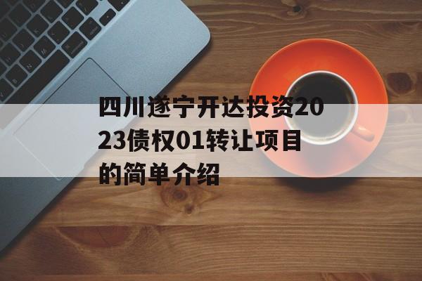 四川遂宁开达投资2023债权01转让项目的简单介绍