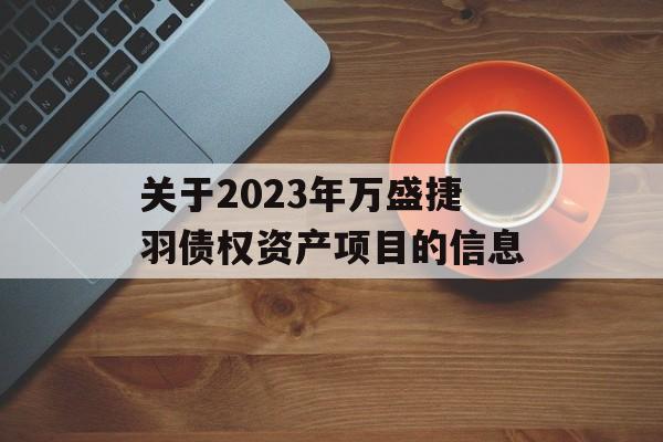 关于2023年万盛捷羽债权资产项目的信息