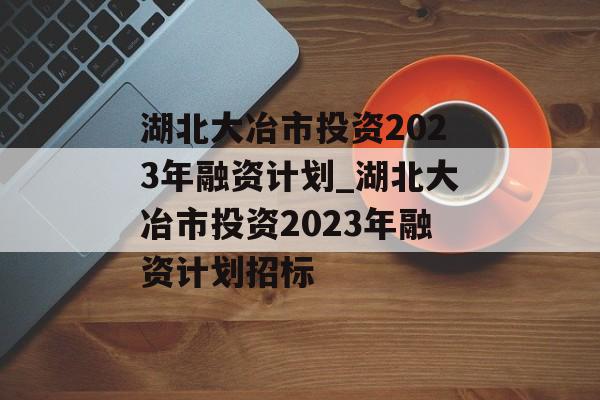 湖北大冶市投资2023年融资计划_湖北大冶市投资2023年融资计划招标