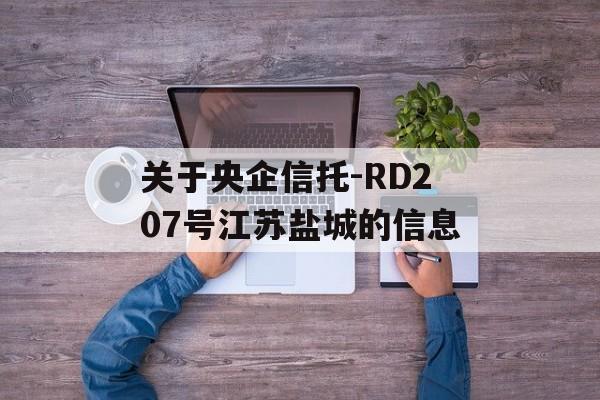 关于央企信托-RD207号江苏盐城的信息