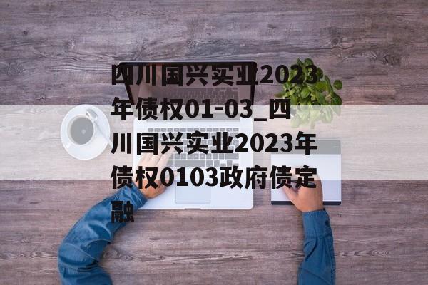 四川国兴实业2023年债权01-03_四川国兴实业2023年债权0103政府债定融