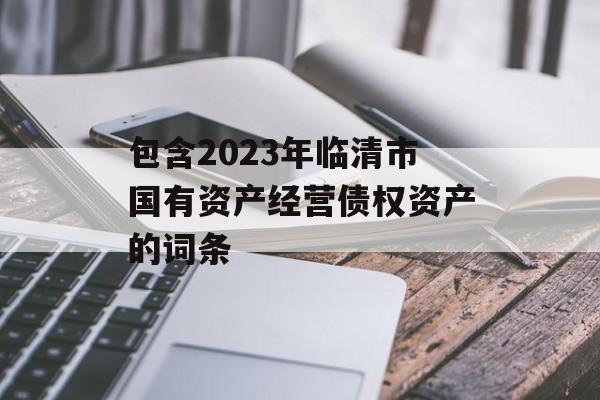 包含2023年临清市国有资产经营债权资产的词条