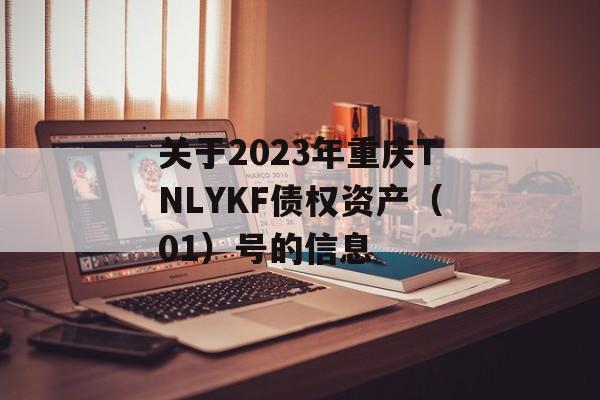 关于2023年重庆TNLYKF债权资产（01）号的信息