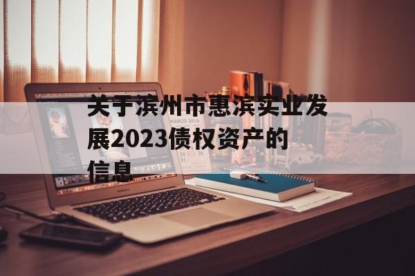 关于滨州市惠滨实业发展2023债权资产的信息