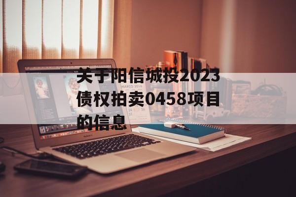 关于阳信城投2023债权拍卖0458项目的信息