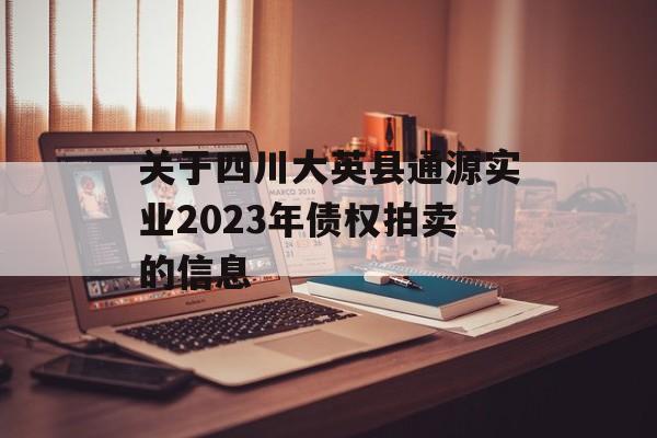 关于四川大英县通源实业2023年债权拍卖的信息