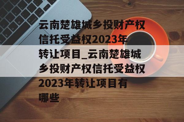 云南楚雄城乡投财产权信托受益权2023年转让项目_云南楚雄城乡投财产权信托受益权2023年转让项目有哪些