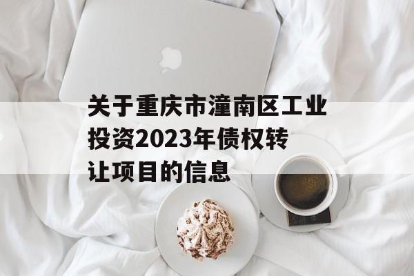 关于重庆市潼南区工业投资2023年债权转让项目的信息