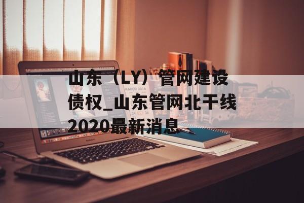 山东（LY）管网建设债权_山东管网北干线2020最新消息