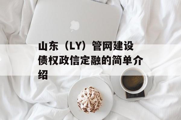 山东（LY）管网建设债权政信定融的简单介绍