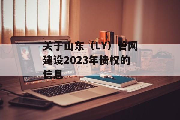 关于山东（LY）管网建设2023年债权的信息