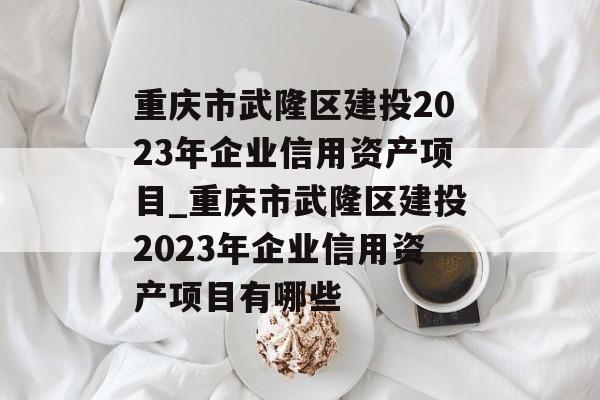 重庆市武隆区建投2023年企业信用资产项目_重庆市武隆区建投2023年企业信用资产项目有哪些