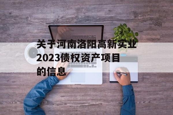 关于河南洛阳高新实业2023债权资产项目的信息