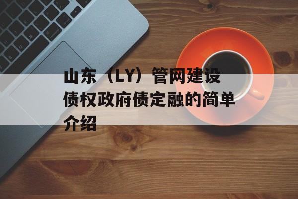 山东（LY）管网建设债权政府债定融的简单介绍