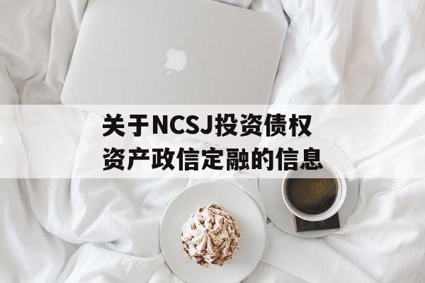 关于NCSJ投资债权资产政信定融的信息