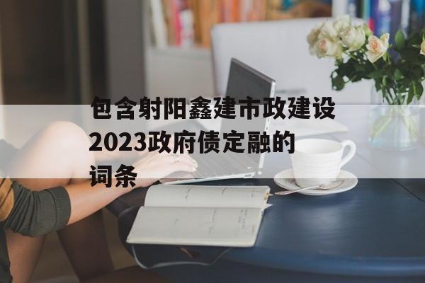 包含射阳鑫建市政建设2023政府债定融的词条