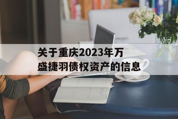 关于重庆2023年万盛捷羽债权资产的信息