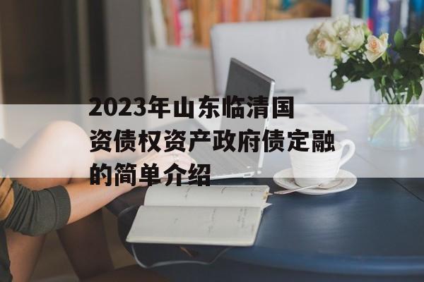 2023年山东临清国资债权资产政府债定融的简单介绍