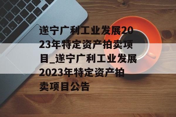 遂宁广利工业发展2023年特定资产拍卖项目_遂宁广利工业发展2023年特定资产拍卖项目公告