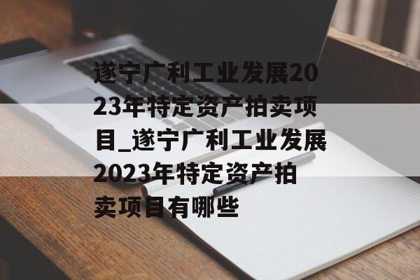 遂宁广利工业发展2023年特定资产拍卖项目_遂宁广利工业发展2023年特定资产拍卖项目有哪些