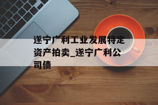 遂宁广利工业发展特定资产拍卖_遂宁广利公司债