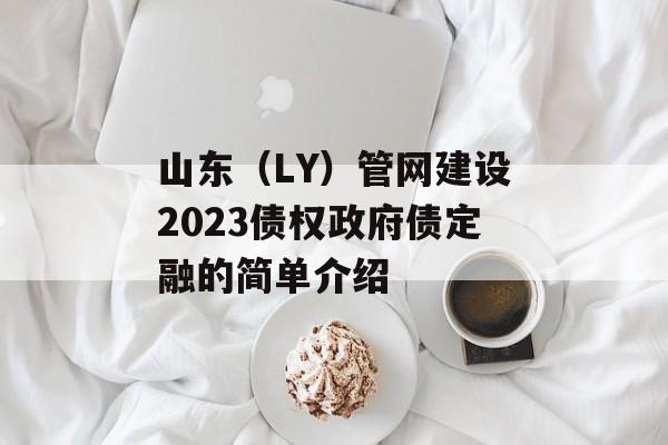 山东（LY）管网建设2023债权政府债定融的简单介绍