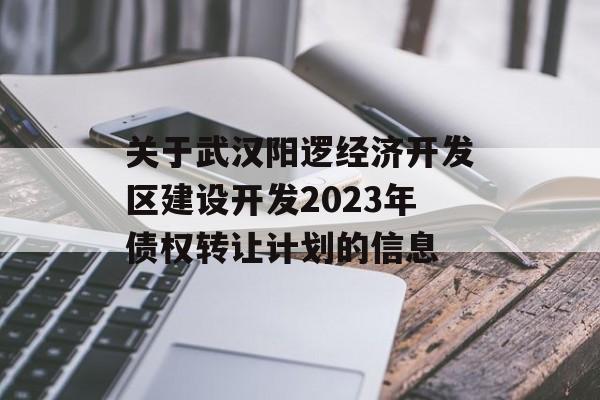 关于武汉阳逻经济开发区建设开发2023年债权转让计划的信息