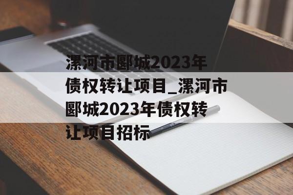 漯河市郾城2023年债权转让项目_漯河市郾城2023年债权转让项目招标