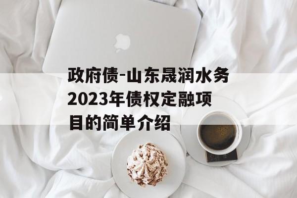 政府债-山东晟润水务2023年债权定融项目的简单介绍