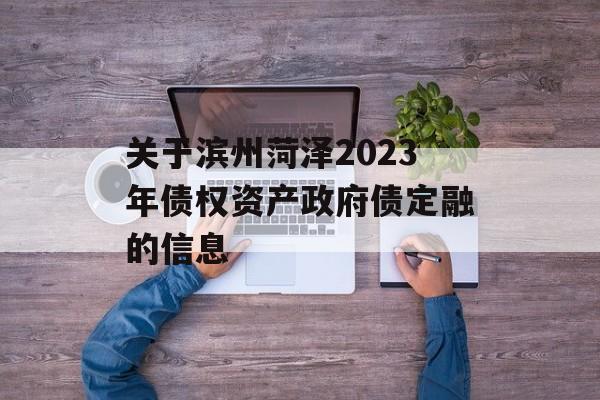 关于滨州菏泽2023年债权资产政府债定融的信息