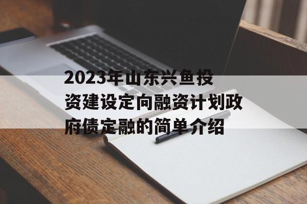 2023年山东兴鱼投资建设定向融资计划政府债定融的简单介绍