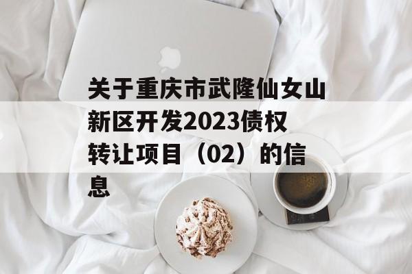 关于重庆市武隆仙女山新区开发2023债权转让项目（02）的信息