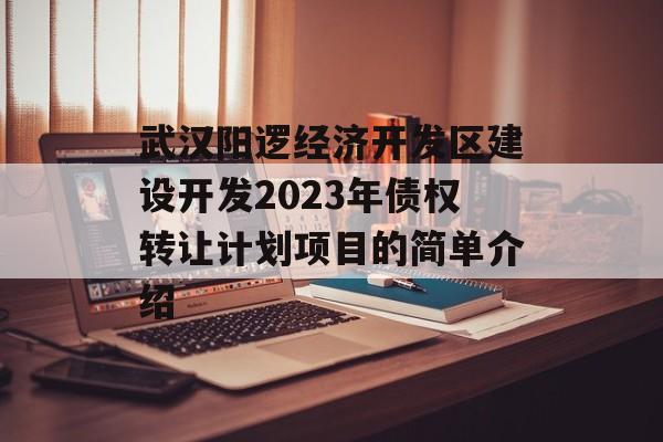 武汉阳逻经济开发区建设开发2023年债权转让计划项目的简单介绍