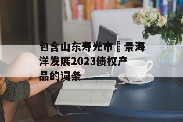 包含山东寿光市昇景海洋发展2023债权产品的词条