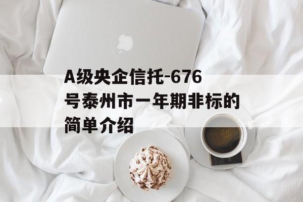 A级央企信托-676号泰州市一年期非标的简单介绍