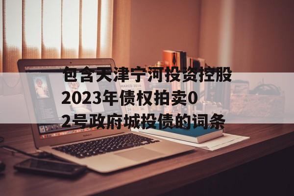 包含天津宁河投资控股2023年债权拍卖02号政府城投债的词条