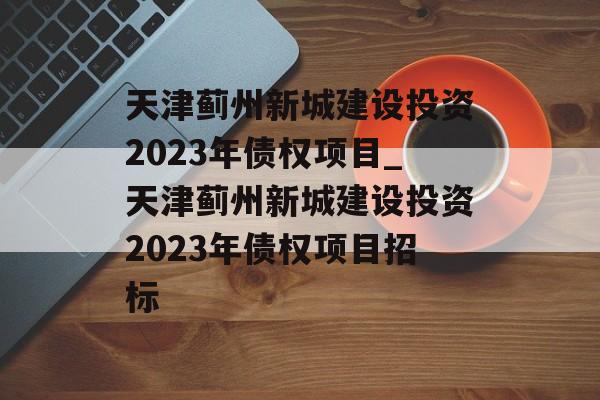 天津蓟州新城建设投资2023年债权项目_天津蓟州新城建设投资2023年债权项目招标