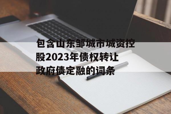 包含山东邹城市城资控股2023年债权转让政府债定融的词条