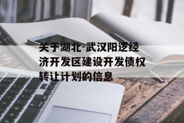 关于湖北-武汉阳逻经济开发区建设开发债权转让计划的信息