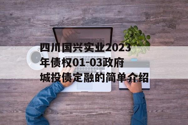 四川国兴实业2023年债权01-03政府城投债定融的简单介绍