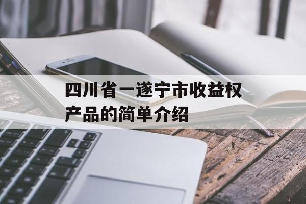 四川省一遂宁市收益权产品的简单介绍