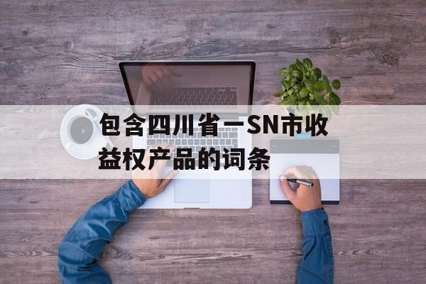 包含四川省一SN市收益权产品的词条