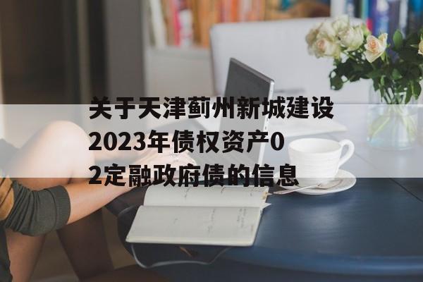 关于天津蓟州新城建设2023年债权资产02定融政府债的信息