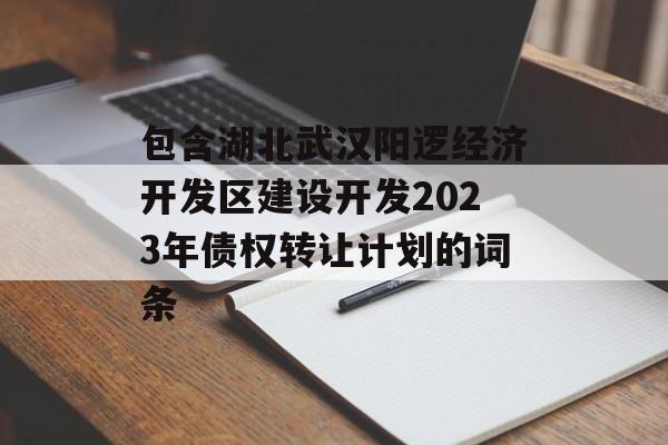 包含湖北武汉阳逻经济开发区建设开发2023年债权转让计划的词条