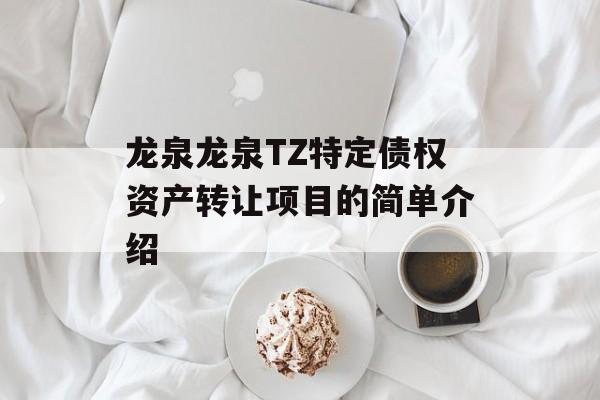 龙泉龙泉TZ特定债权资产转让项目的简单介绍